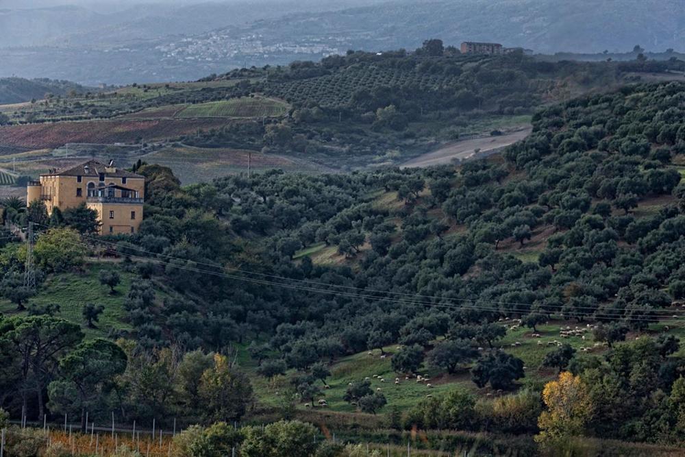 Castello Di Serragiumenta Firmo Exterior foto